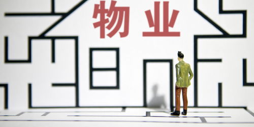 一手抓規(guī)模 一手 造富 百強物企市場占有率首次超五成